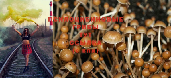 mdpv Верея