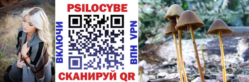 Галлюциногенные грибы Cubensis  цены   Высоковск 